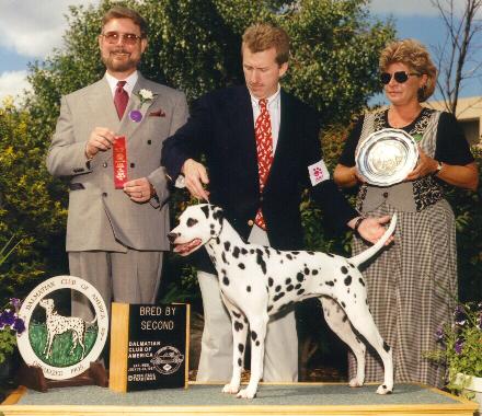 2nd place in the Bred-by class at the Dalmatian National Specialty in July 1997